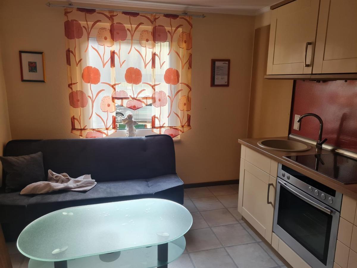 Apartmenthaus Sonnenschein ヴィンターベルク エクステリア 写真