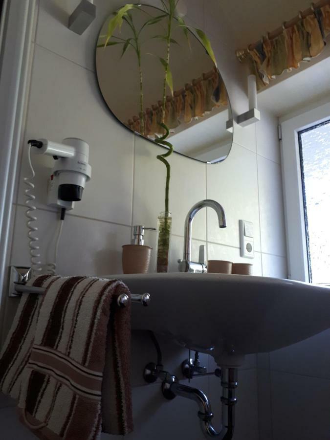Apartmenthaus Sonnenschein ヴィンターベルク エクステリア 写真